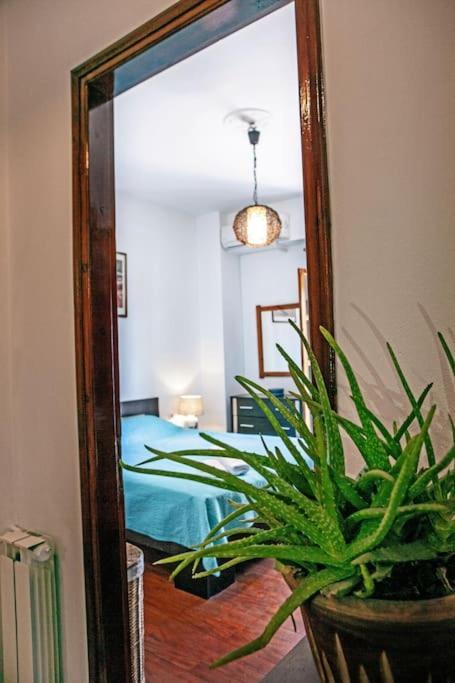 City Center, Sea View Apartment, Amelia! Ανεμόμυλος Εξωτερικό φωτογραφία